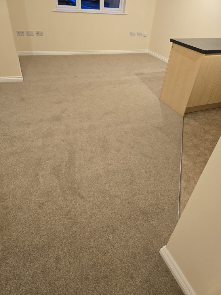 Elegant Carpet