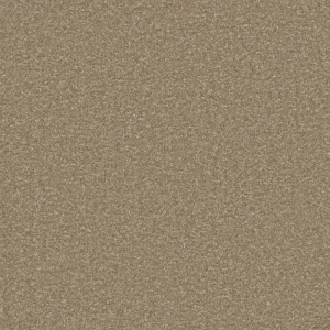 fairway carpet light taupe