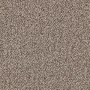 Mojave Carpet Beach Nut