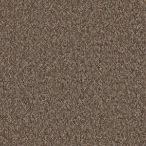 Mojave Carpet Cappuccino