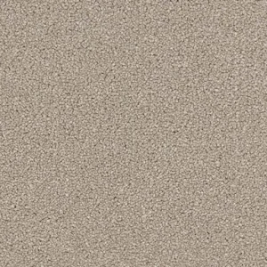 Renaissance Carpet Portland Stone