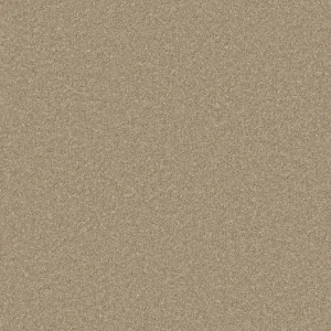 fairway carpet sand dune