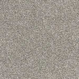 Satisfaction Moods Carpet Inox