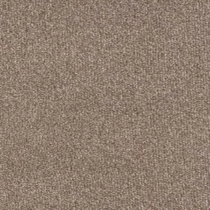 Trident Carpet Ash