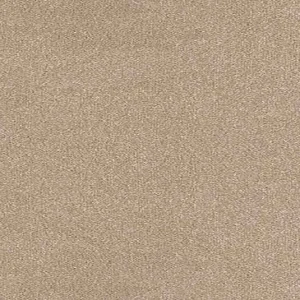 Trident Carpet Semolina