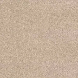 Trident Carpet Vicuna